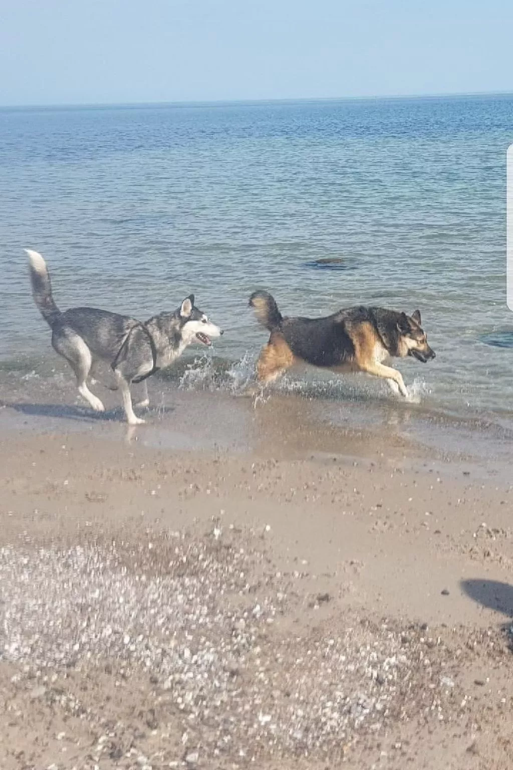 Cala Millor - Image-tags.info