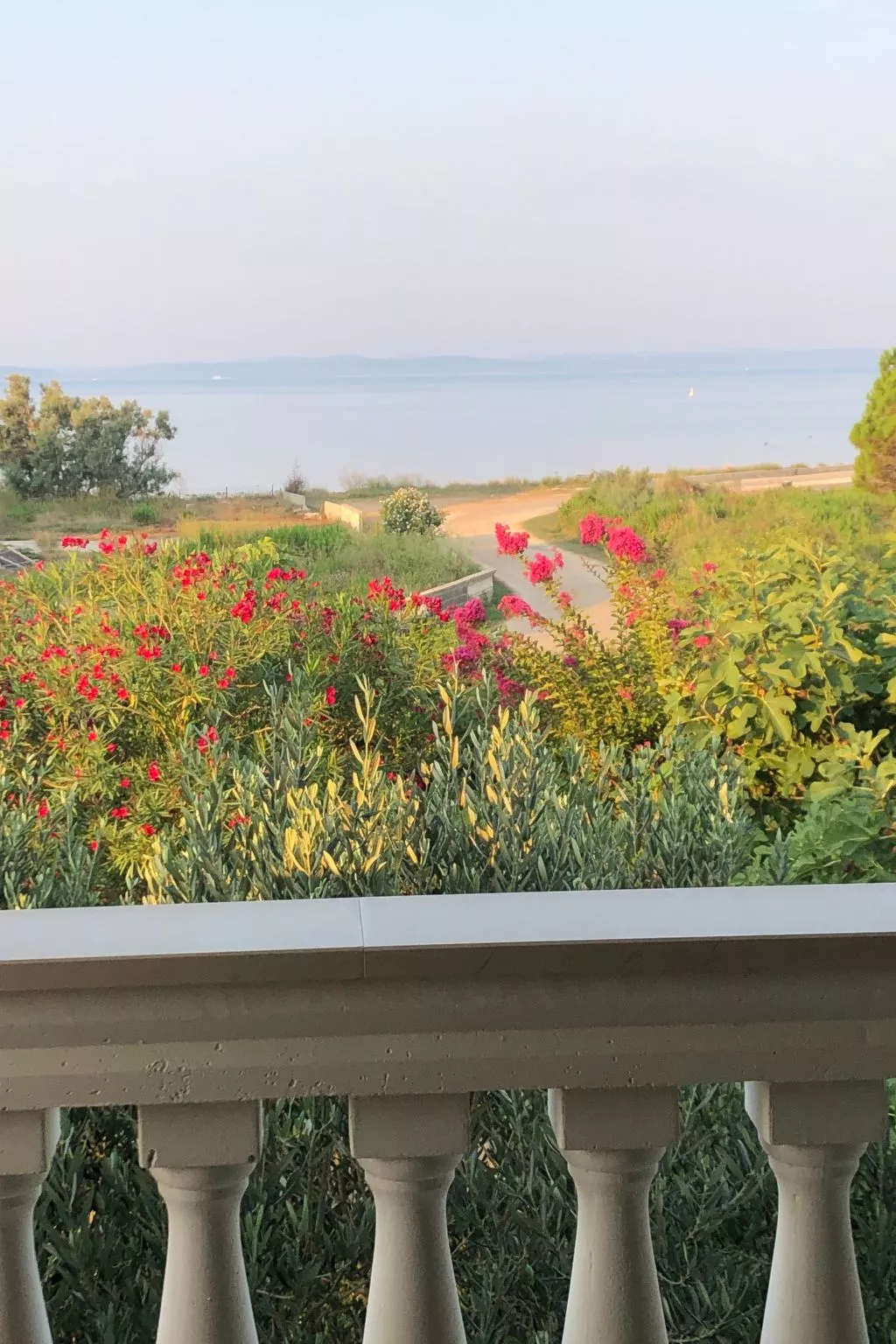 Villa Olive Grove-Buiten