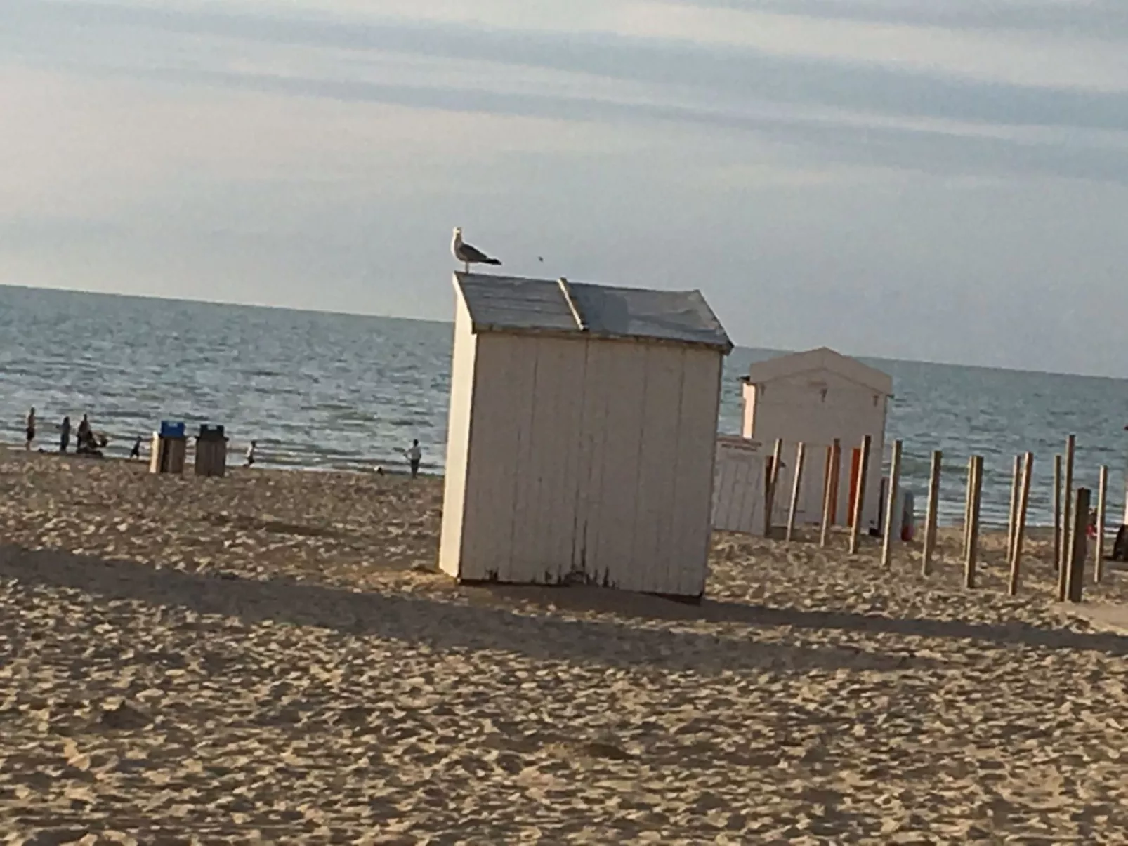 Windekind mit Blick auf die Felder-Image-tags.info