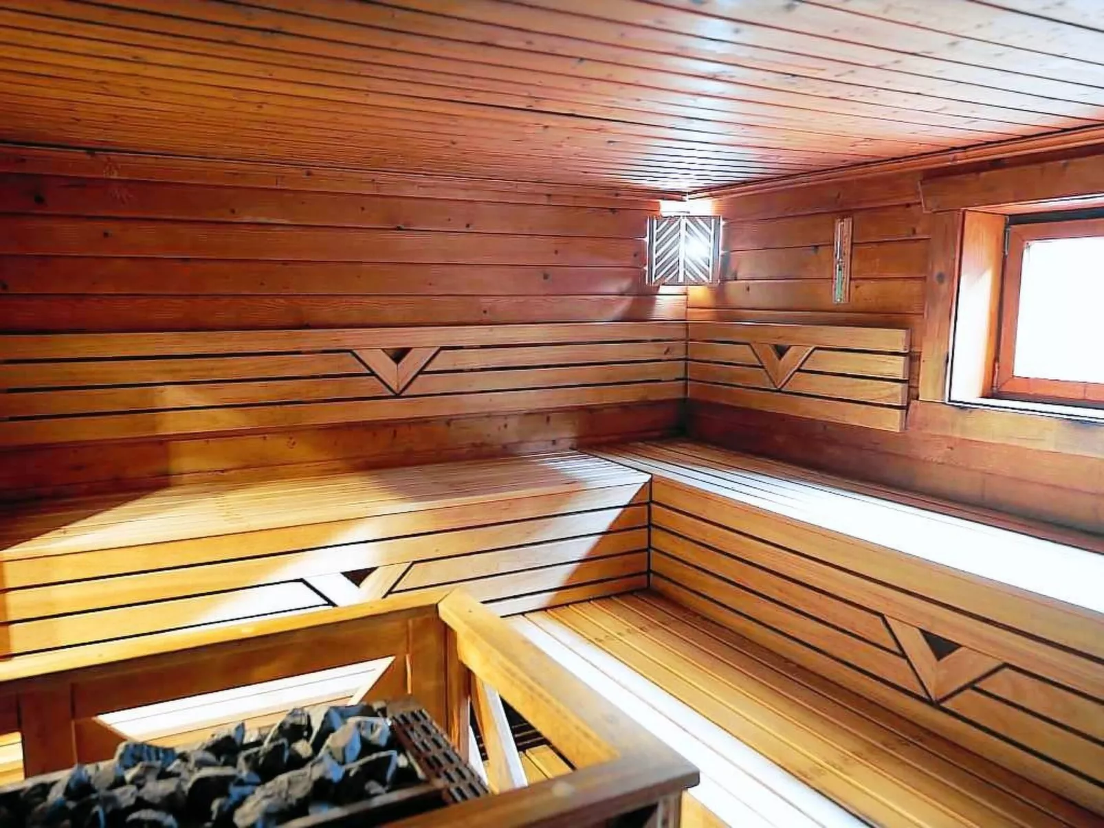 Wanderfalke-Image-tags.info