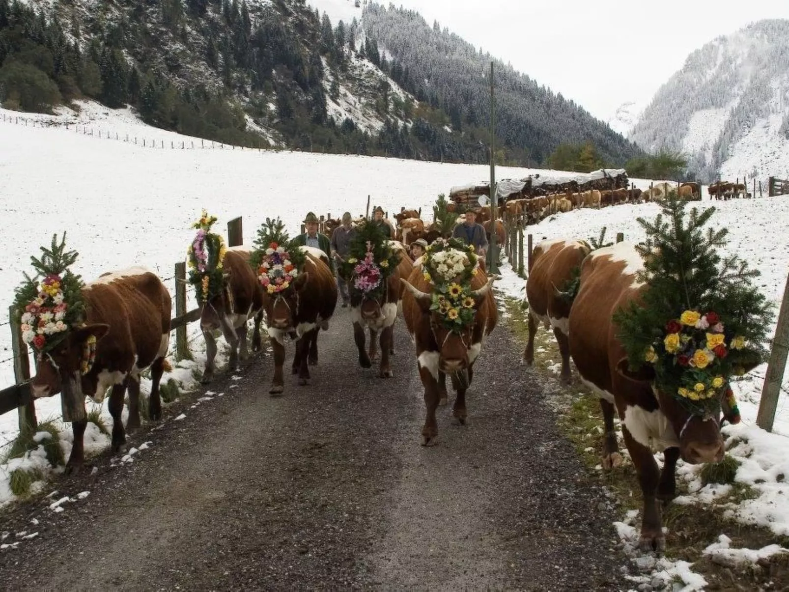 Wohnung Pihapperblick in Hollersbach im Pinzgau-Image-tags.info