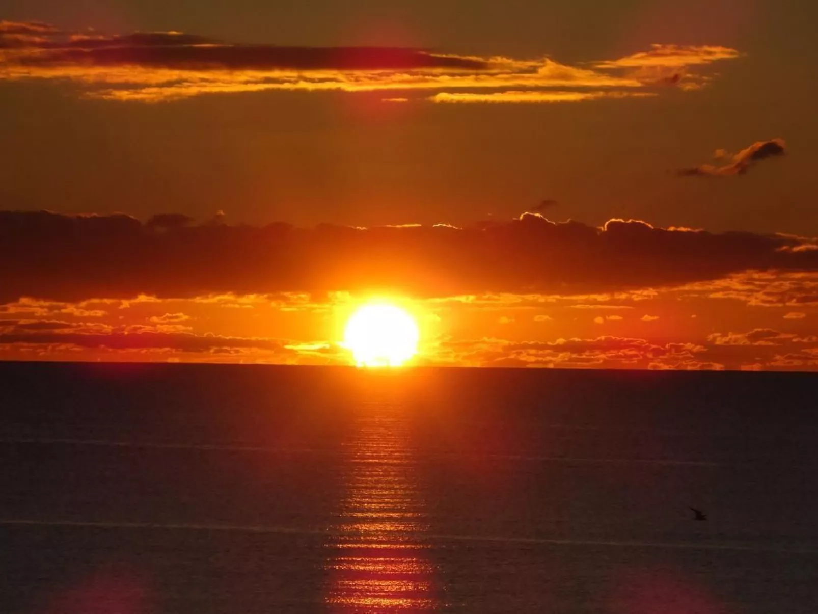 Modernes Haus in der Nähe von Strand und Golf in Halmstad-Image-tags.info