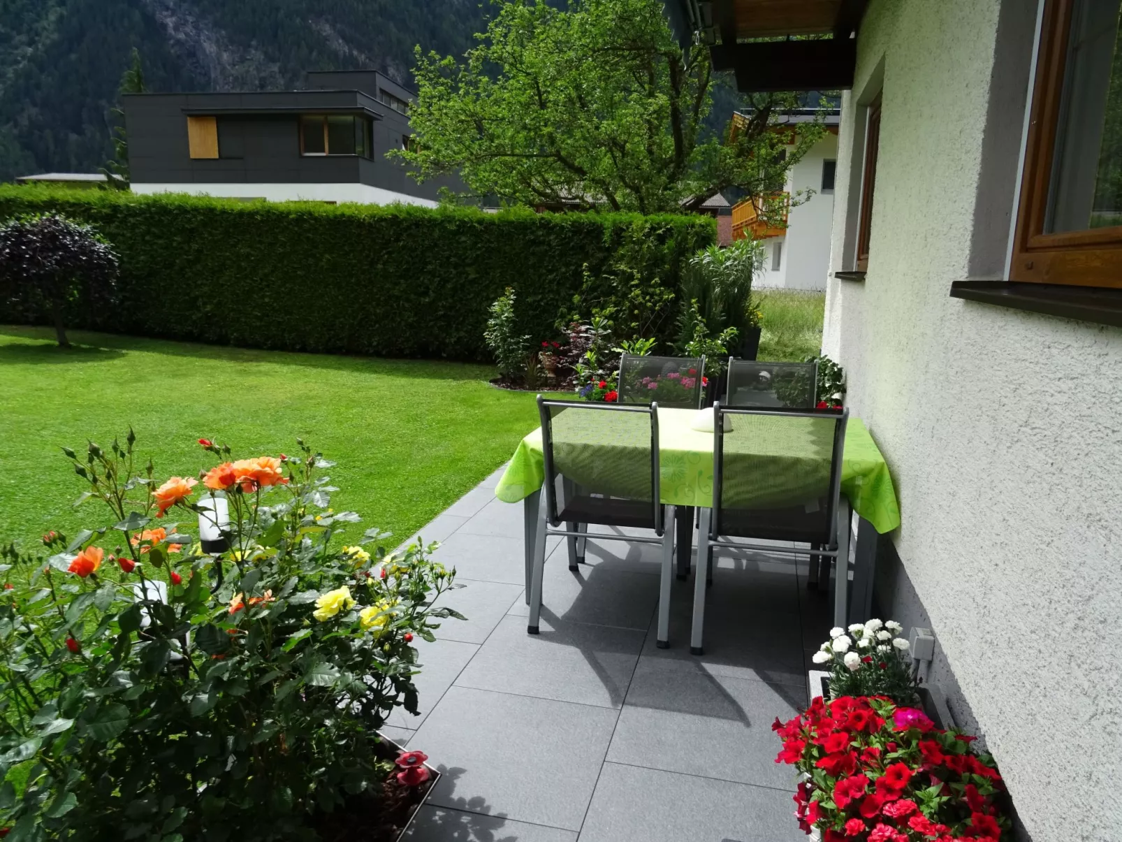 Rosa in Umhausen-Buiten