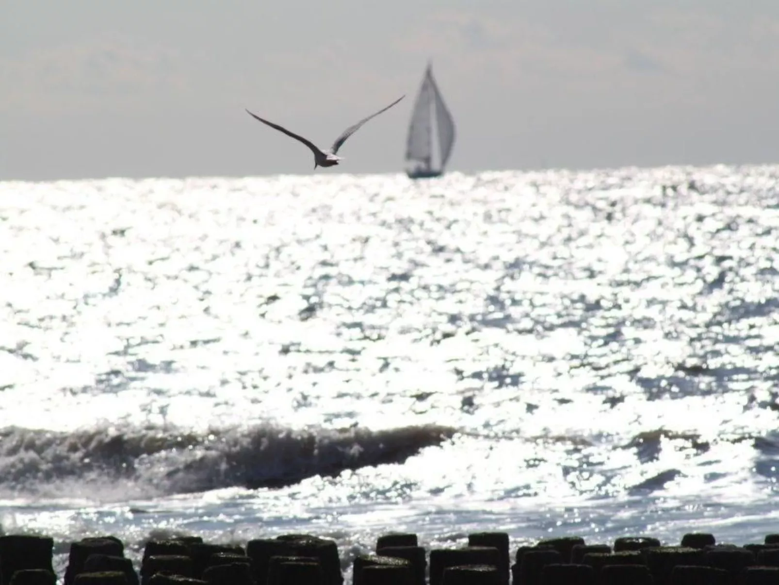 Altes Deichbauernhaus mit Garten-Buiten