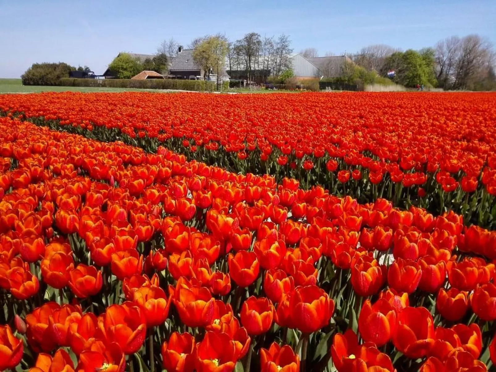 Sommerhaus Klein Wimmenum, Nähe Strand und Dünen-Buiten