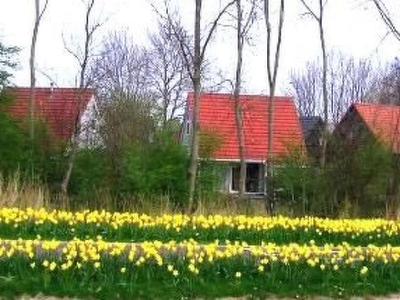 107 Cosima-Image-tags.info