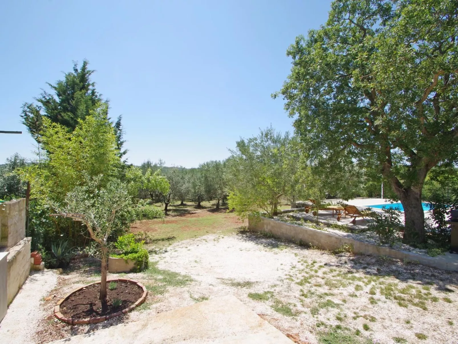 Am Meer "Zara"-Image-tags.info