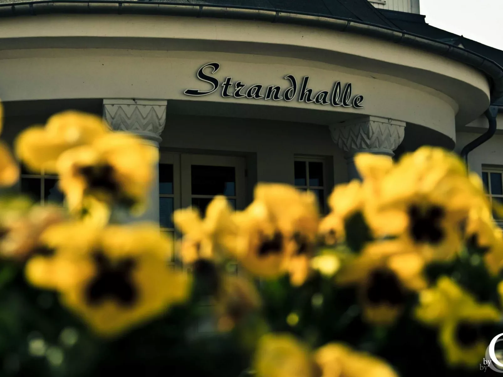 Am Apothekerberg-Buiten