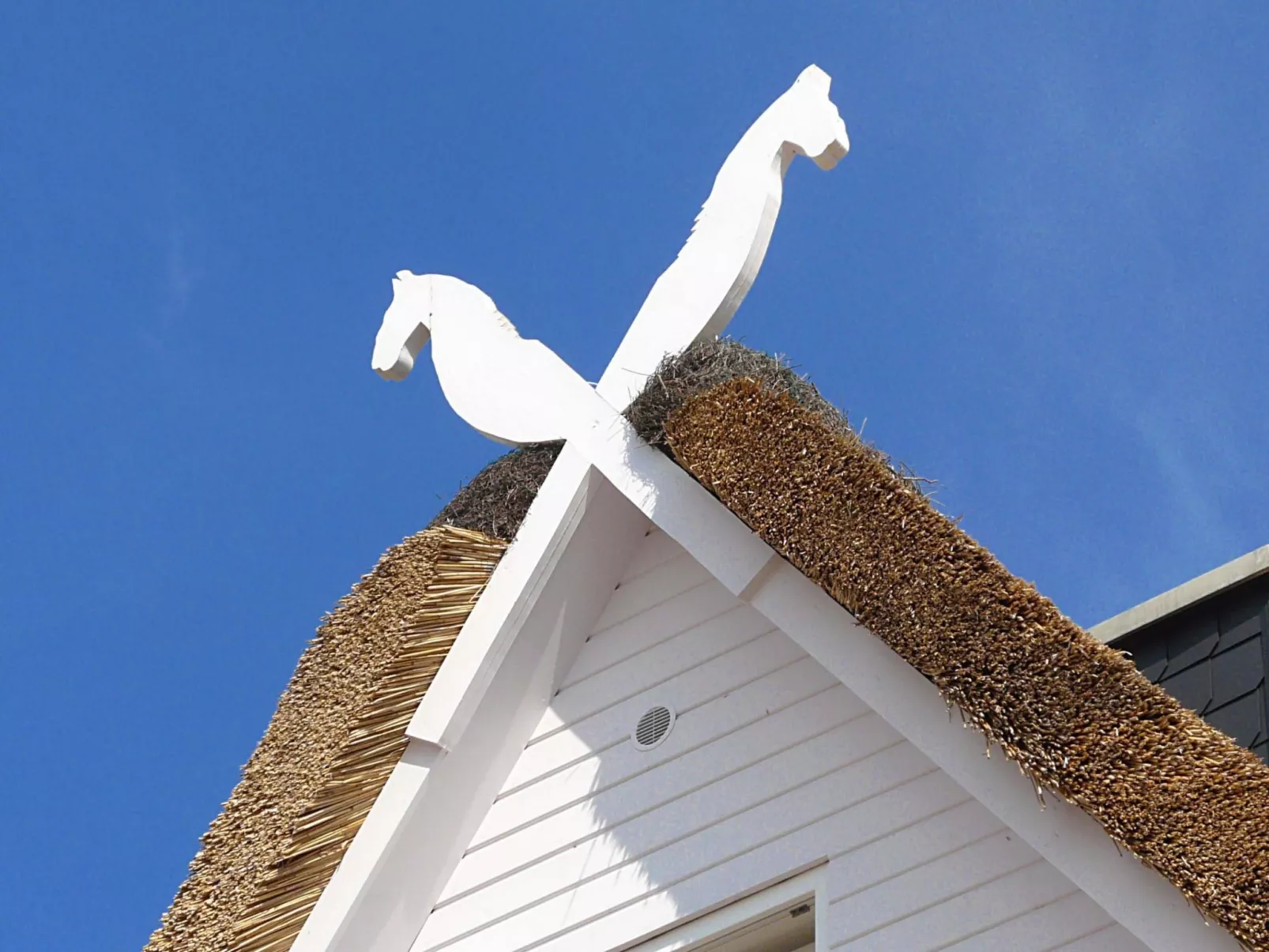 Komfort Ferienhaus mit Sauna und Kamin, auf großem Waldgrundstück, in absoluter-Image-tags.info