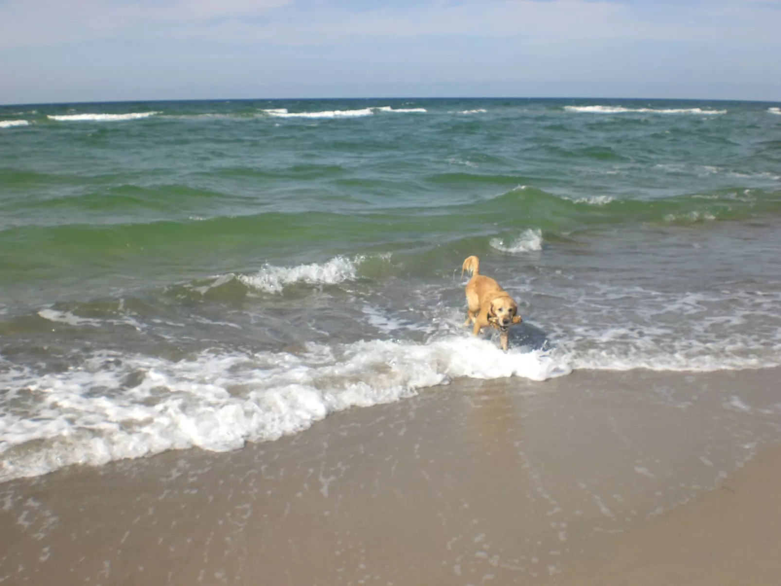 Appartement Achtern-Diek-am-Strand in Zingst-Buiten