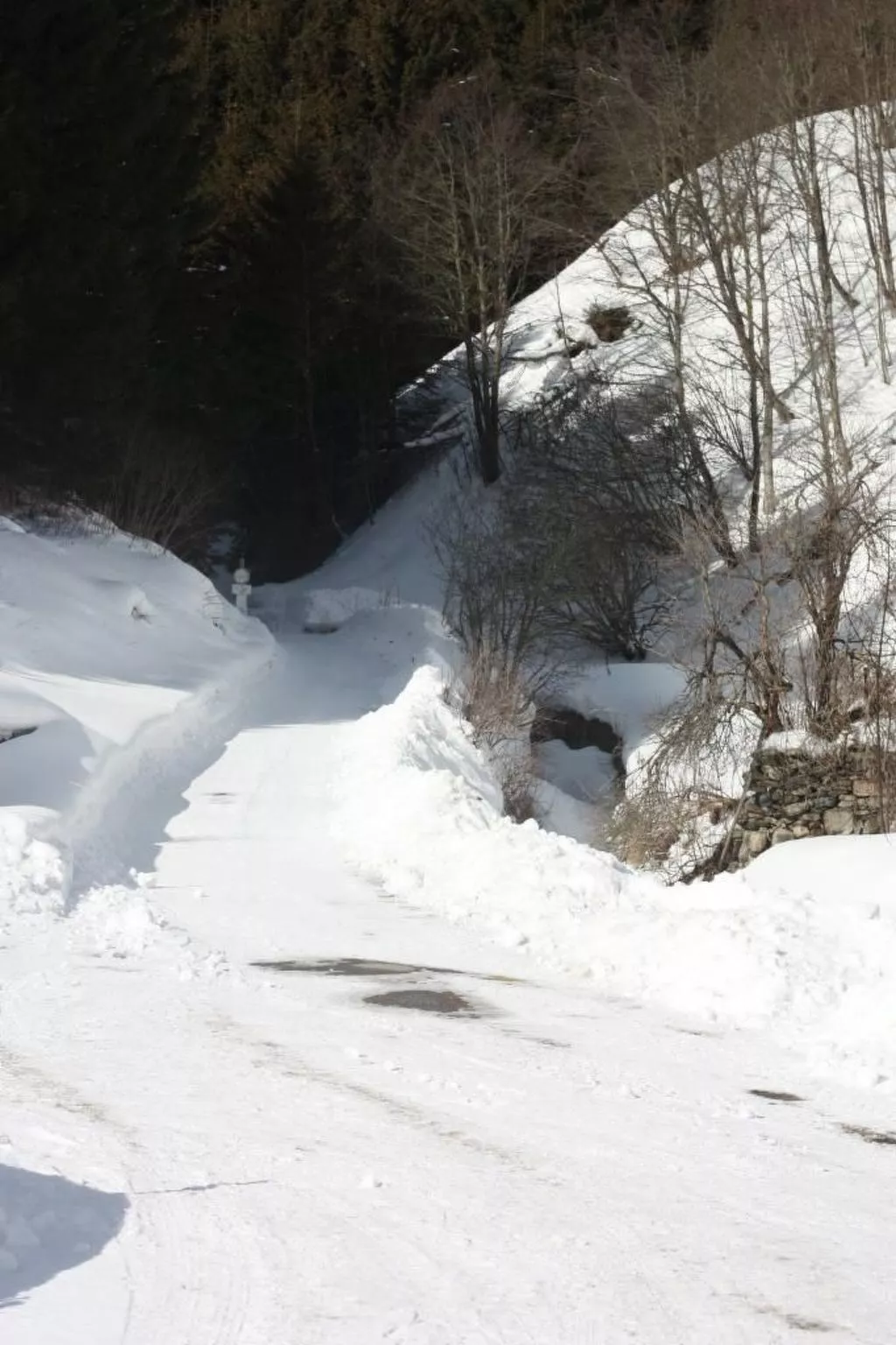 Berghof Turrach in Turrach-Buiten