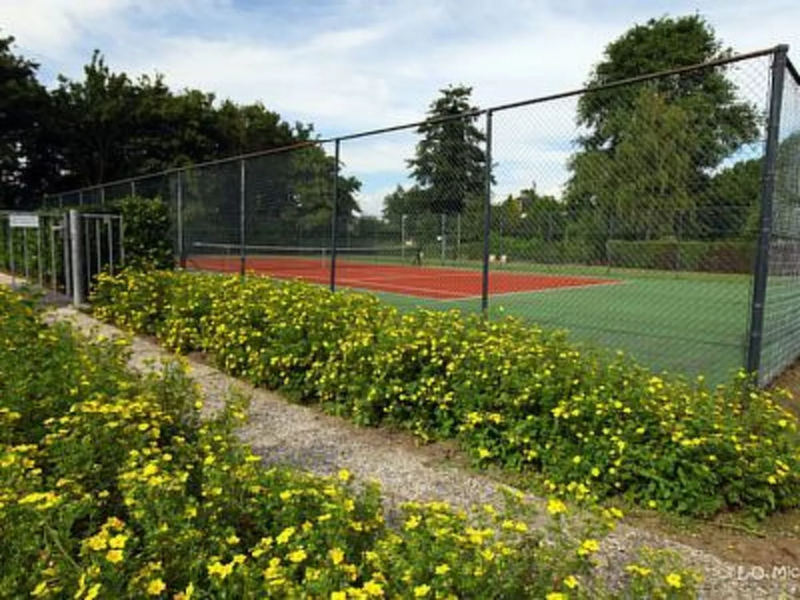 Gemütlicher Vier-Personen-Bungalow-Image-tags.info