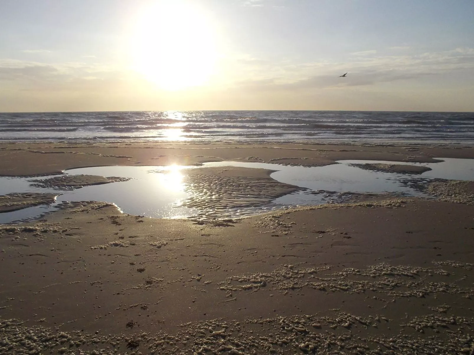 BeachPlace-Image-tags.info