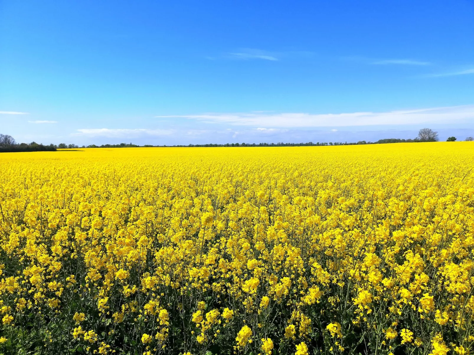 Reethaus Michel-Buiten