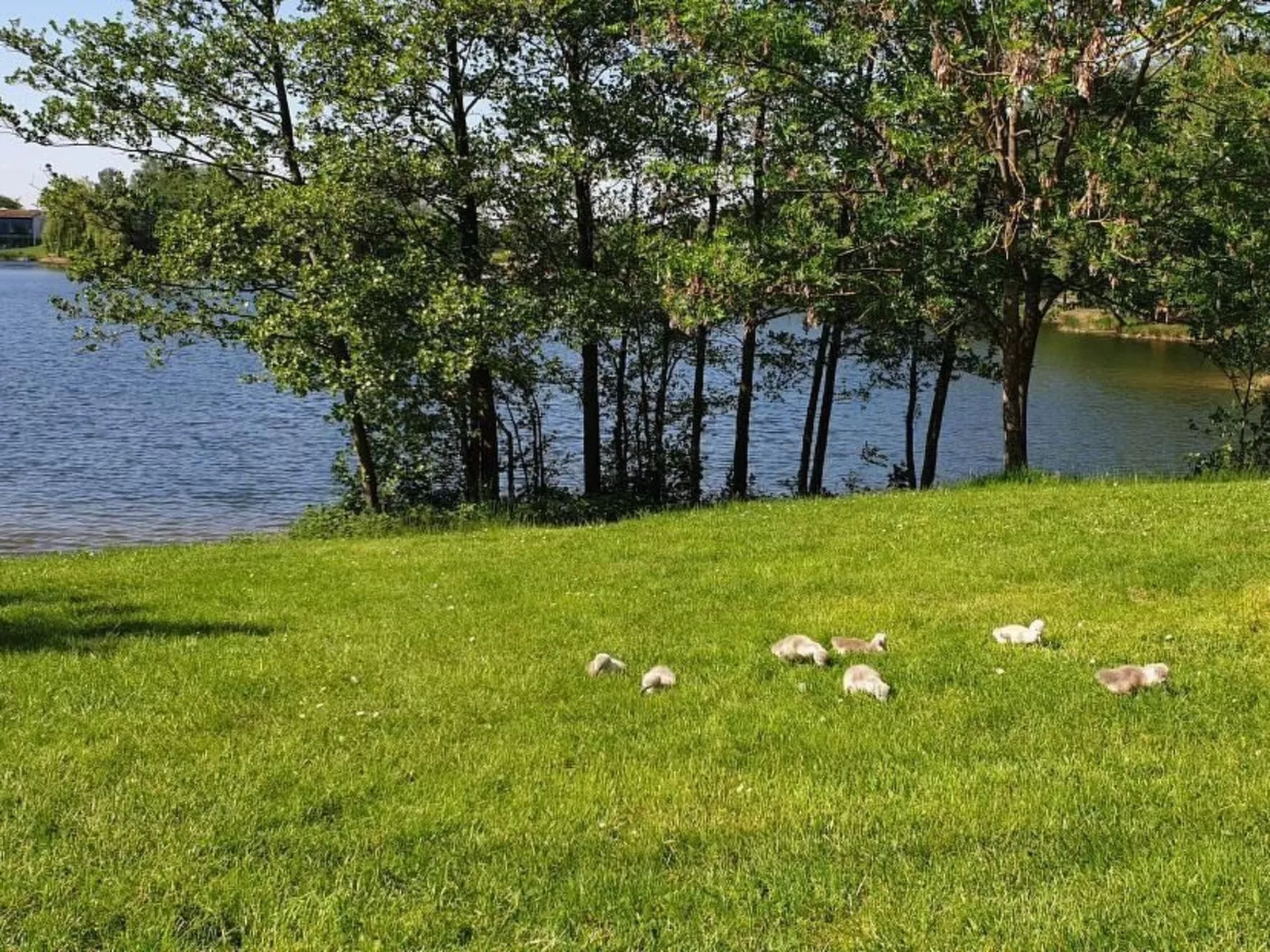 Waldhaus57 Silbersee-Buiten