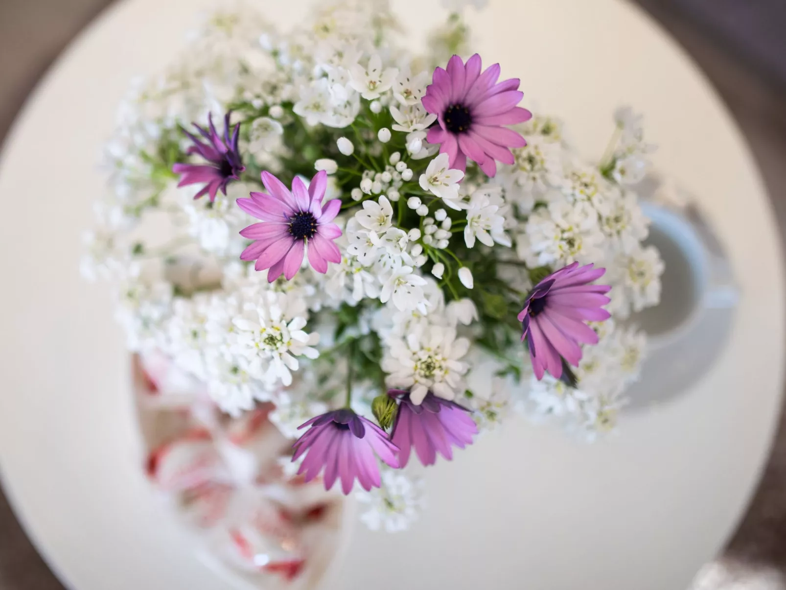 Mit Garten, Grill und Terrasse-Image-tags.info