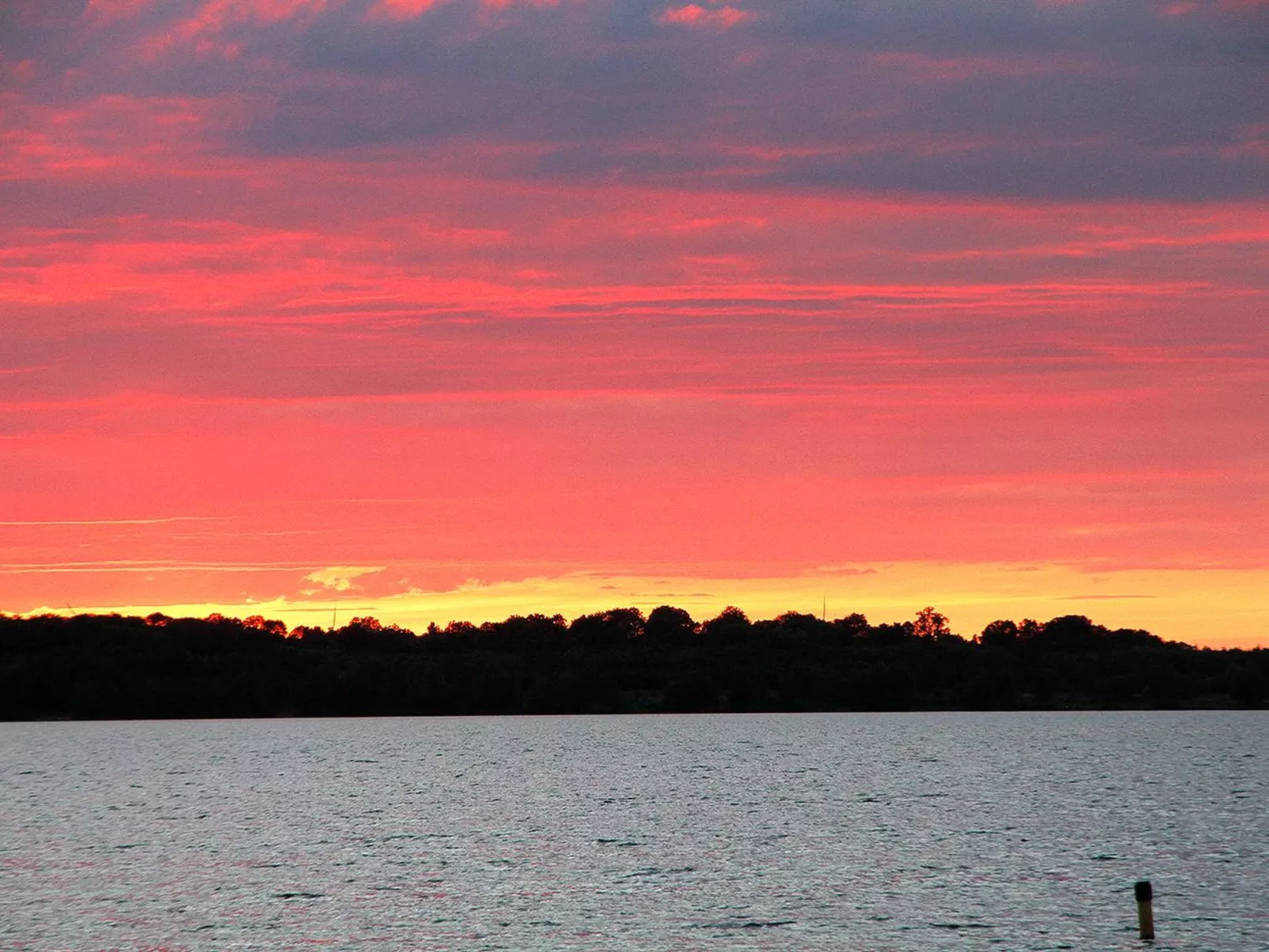 Haus mit Kunst-Buiten