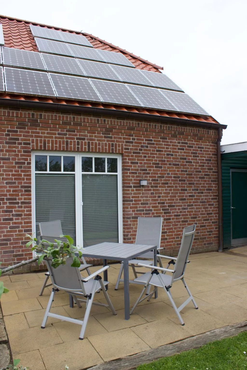 Strandflieder-Buiten