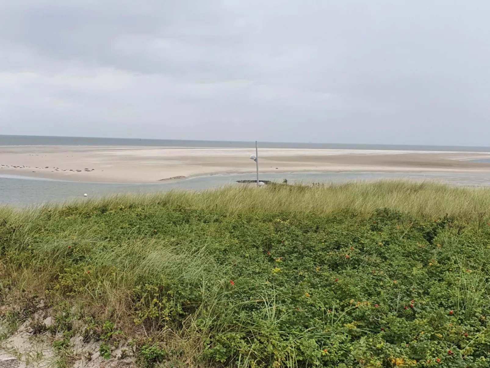 Apartment mit Terrasse am Südstrand-Buiten