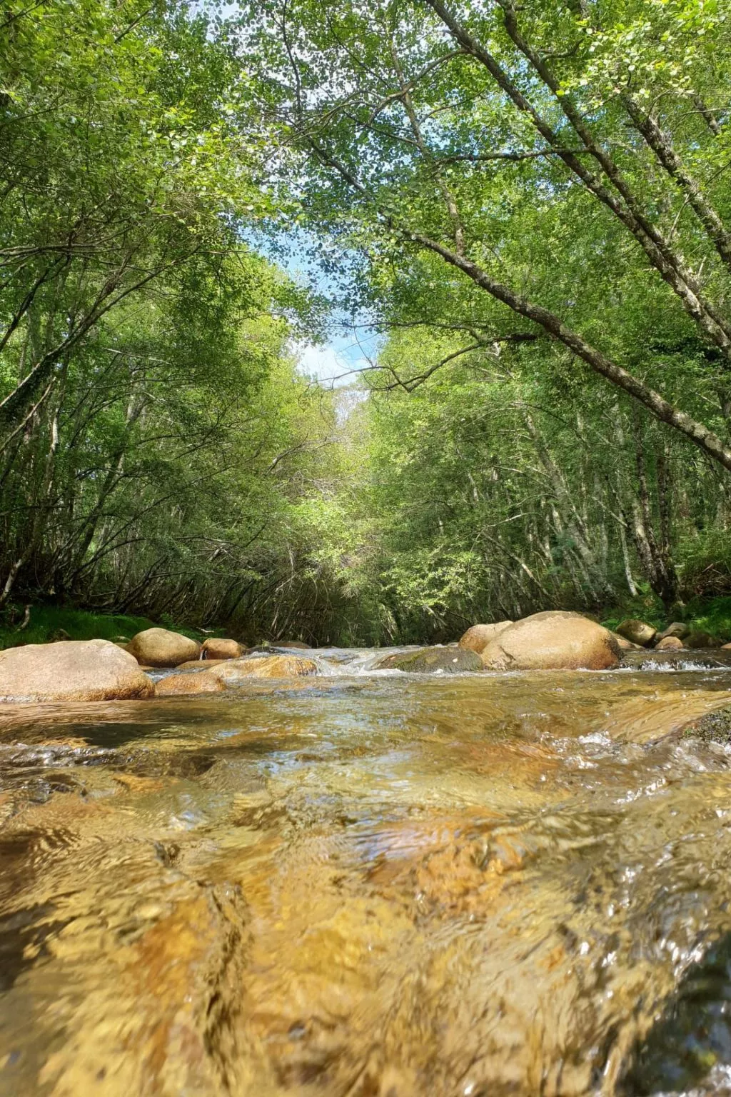 Haus jenseits des Flusses-Buiten