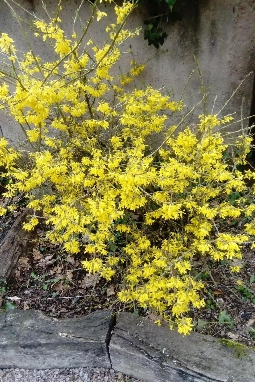 Fachwerkhaus "la maison de vacances" "-Buiten