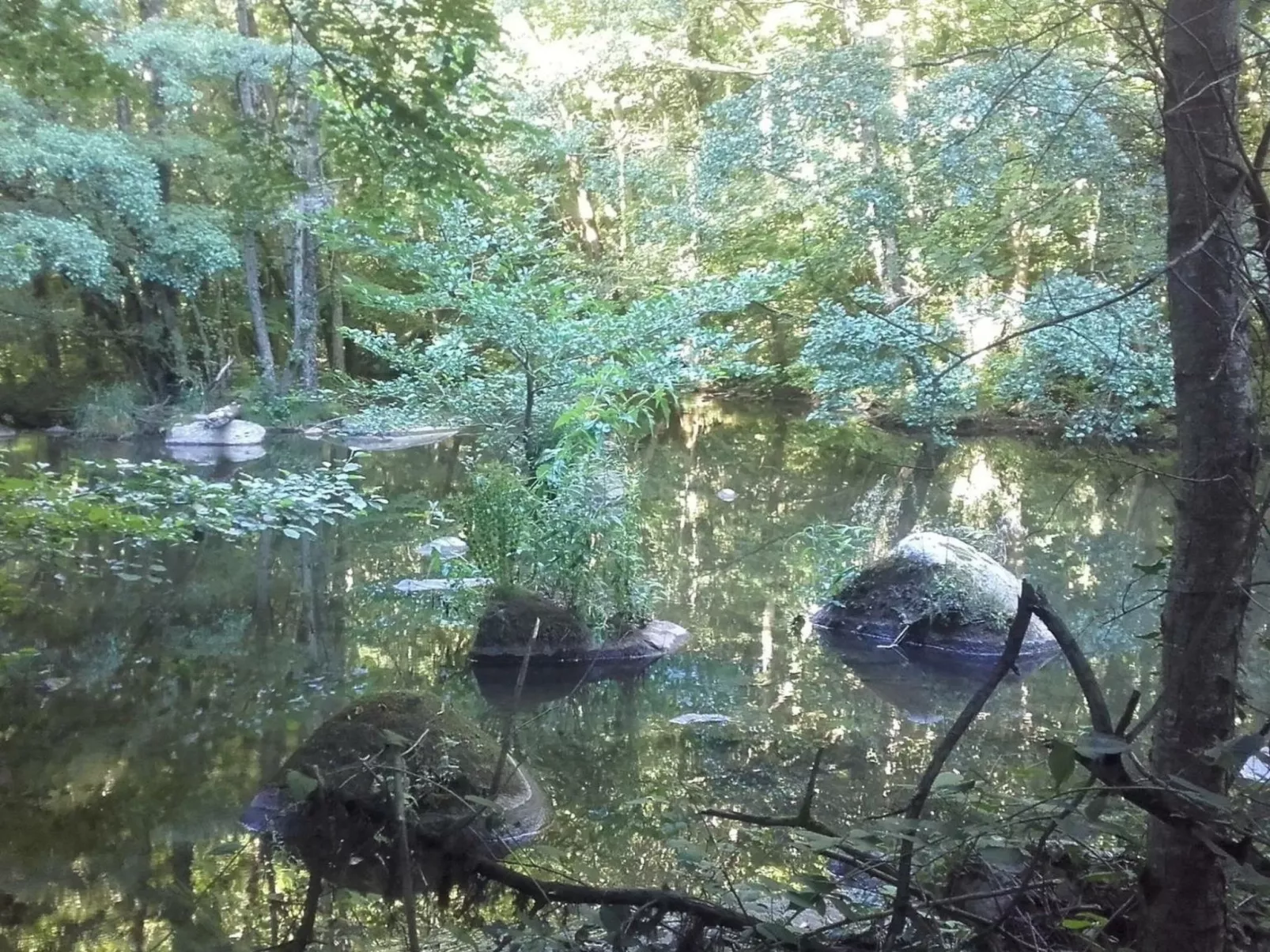 LA CABANE DES REVES-Buiten