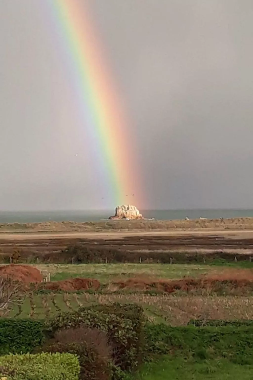 Les Chardons Bleus Sauna Jacuzzi Meerblick-Image-tags.info