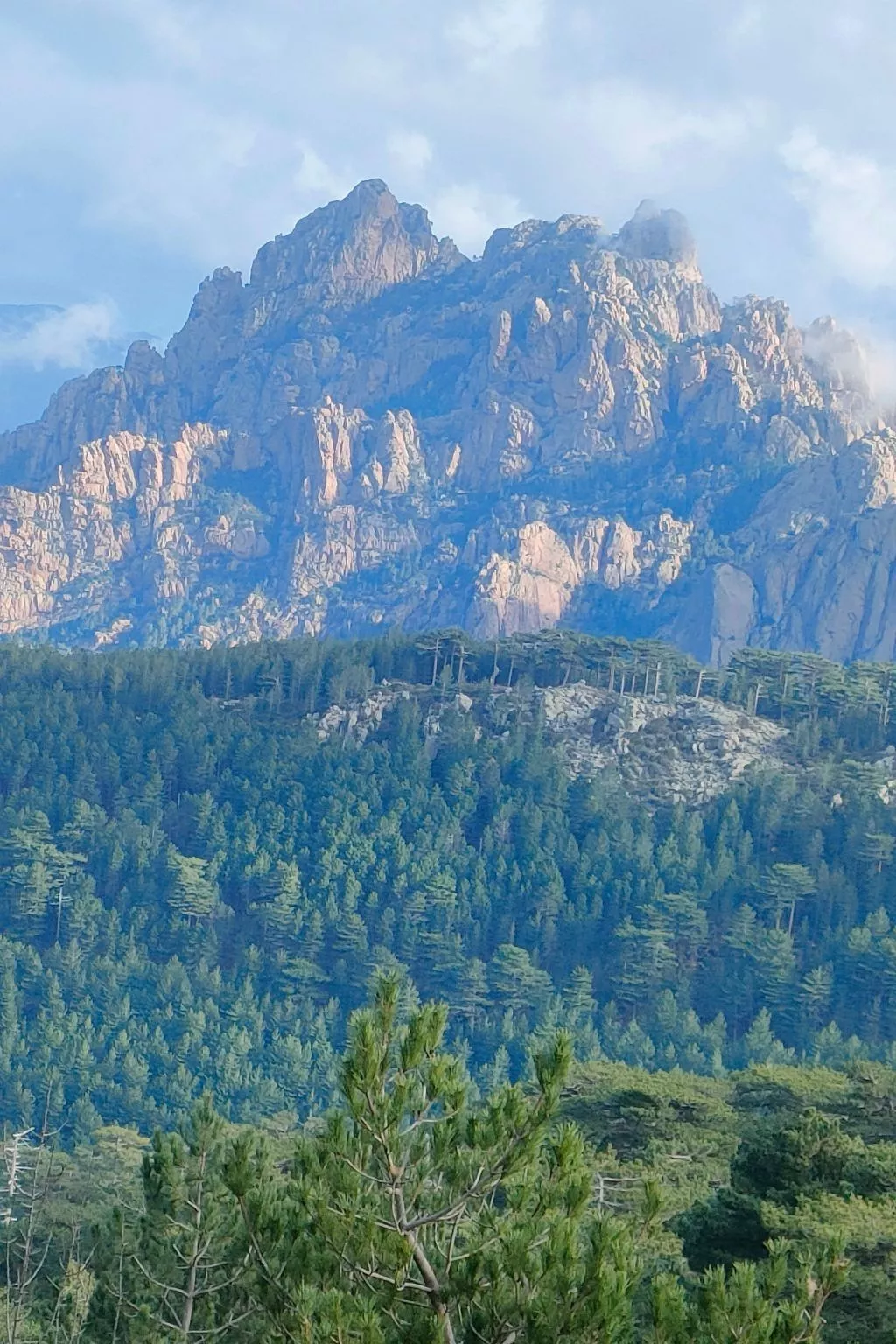 Wohnung "Authentisches korsisches Haus"-Buiten