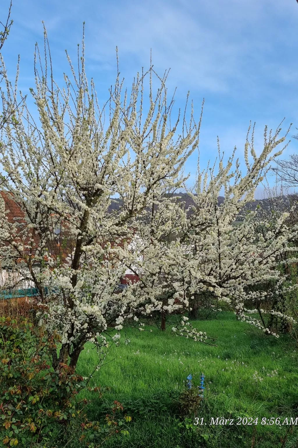 Le Château d'Eau-Buiten