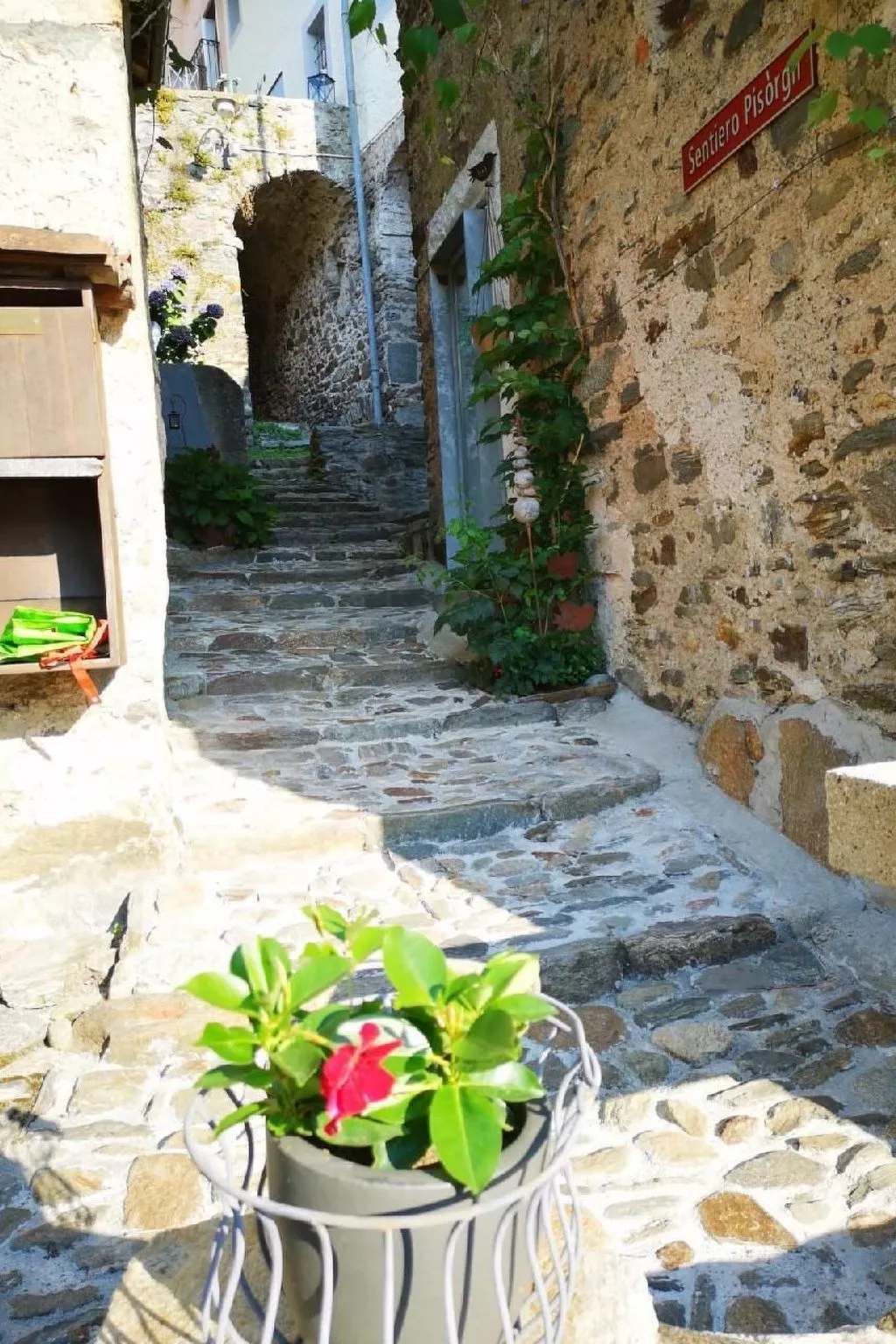 La Tortue - Image-tags.info