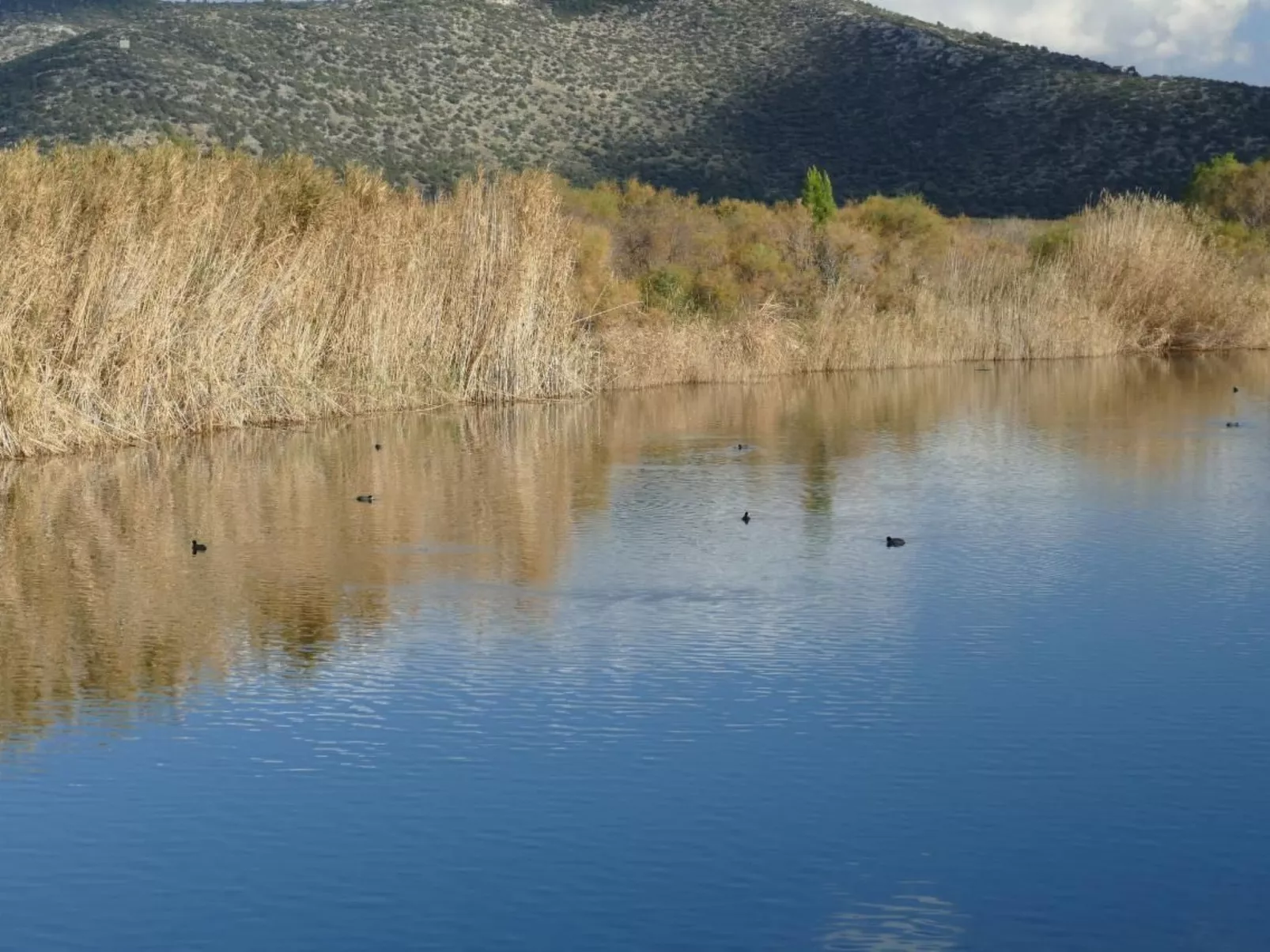 Esperides Ferien-Buiten