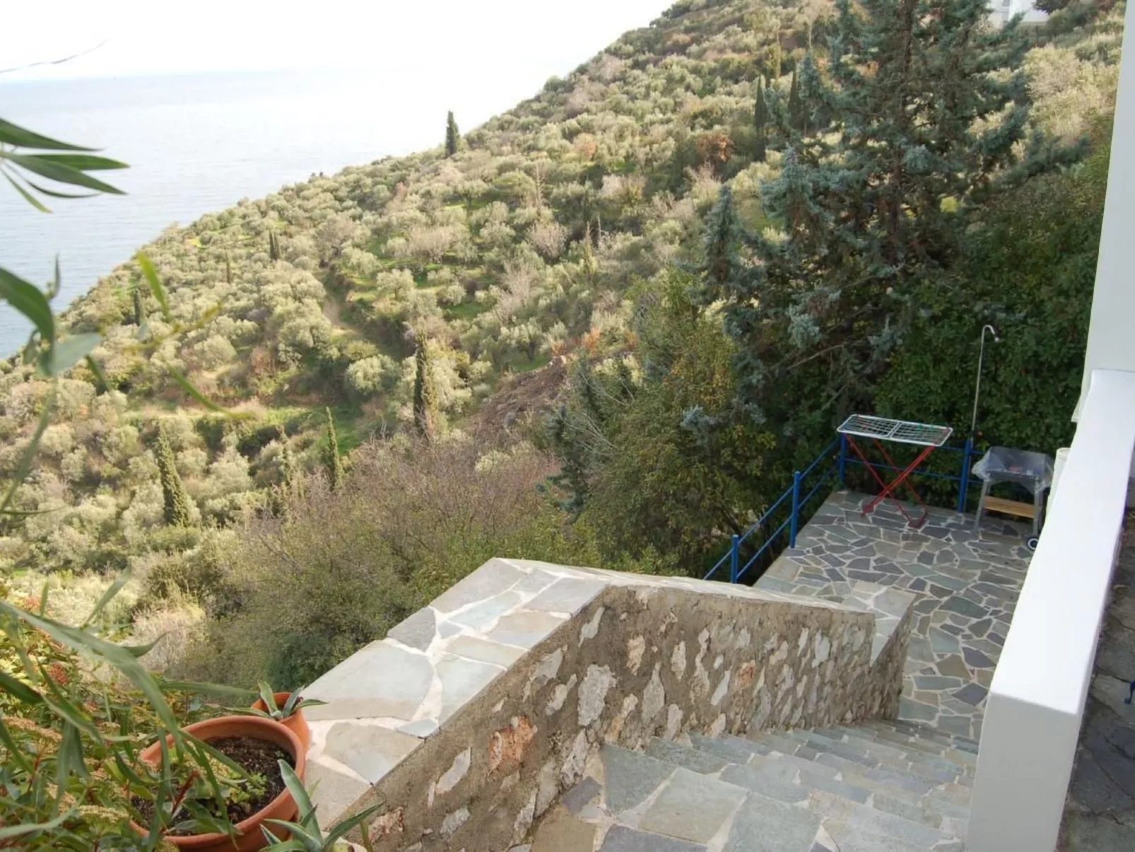 Mit Wasserblick-Image-tags.info