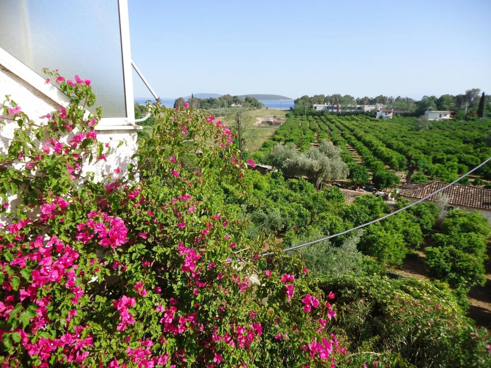 Wohnung mit großem Balkon und herrlichem Meerblick-Buiten
