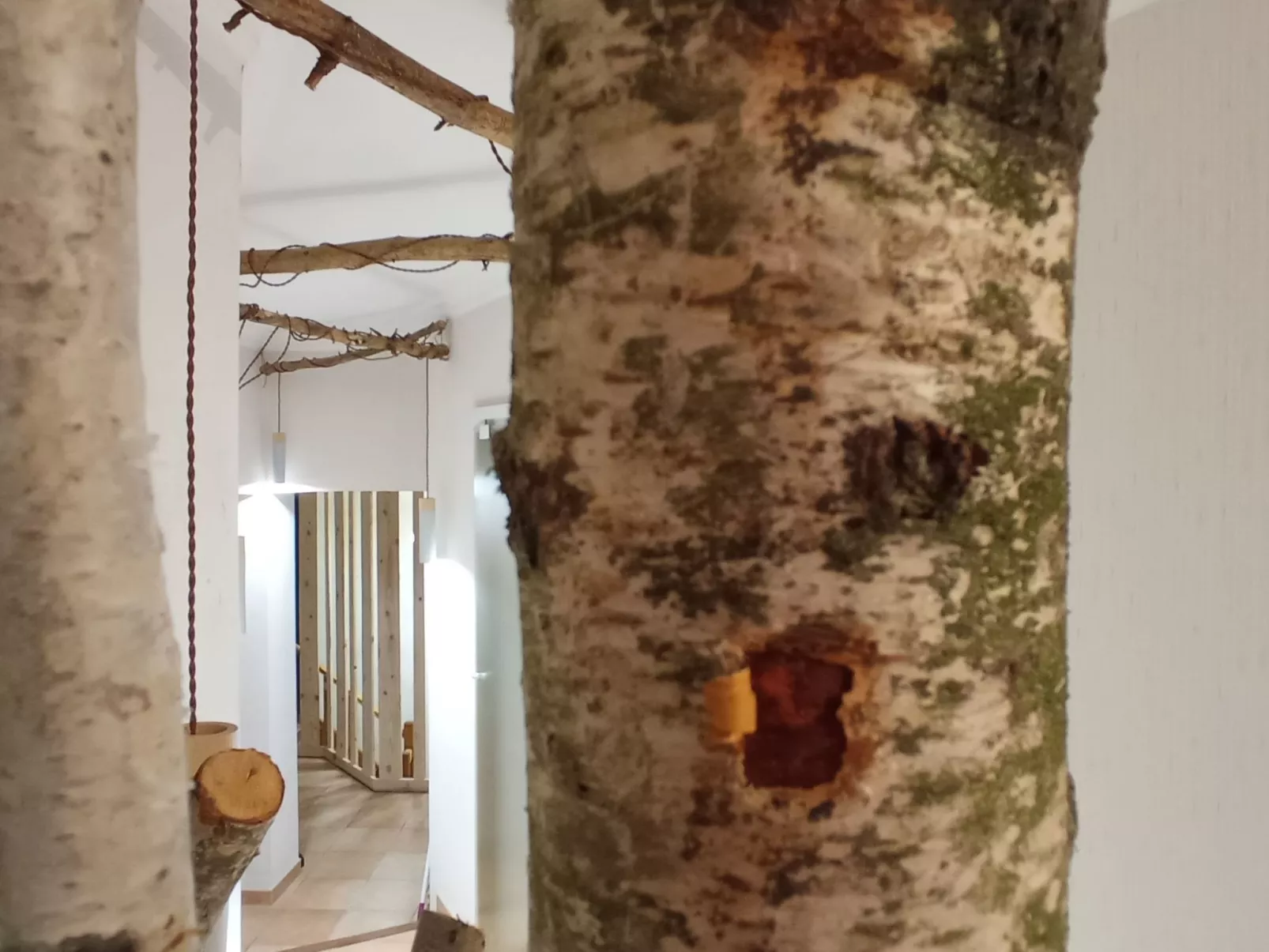 In der Provence, Außergewöhnliche Villa, Okzitanien, Gard-Image-tags.info