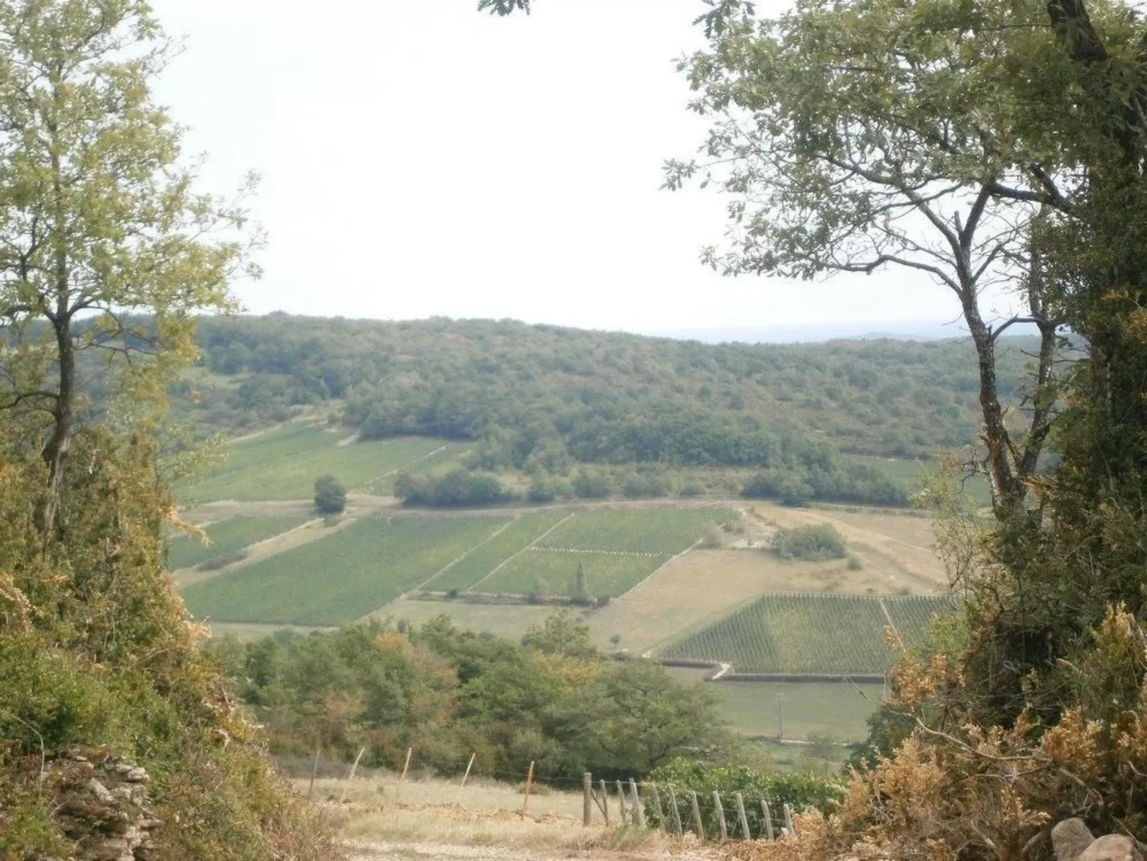 Le gite du randonneur (Das Ferienhaus des Wanderers)-Buiten