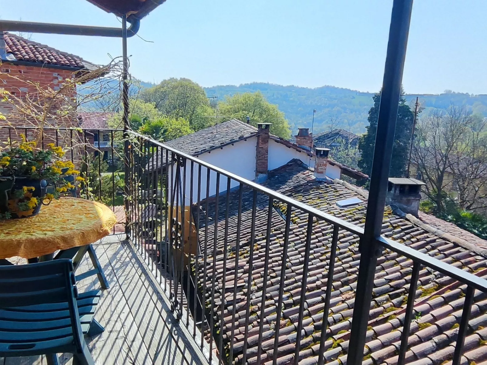 Vergissmeinnicht-Buiten