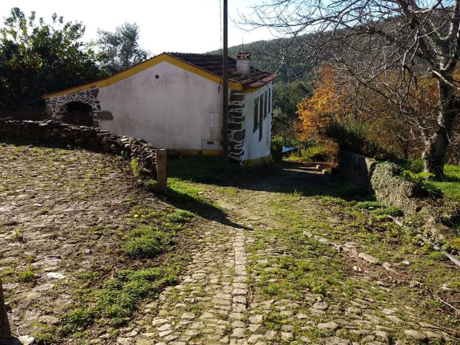 Landhaus in idyllischer Lage-Image-tags.info