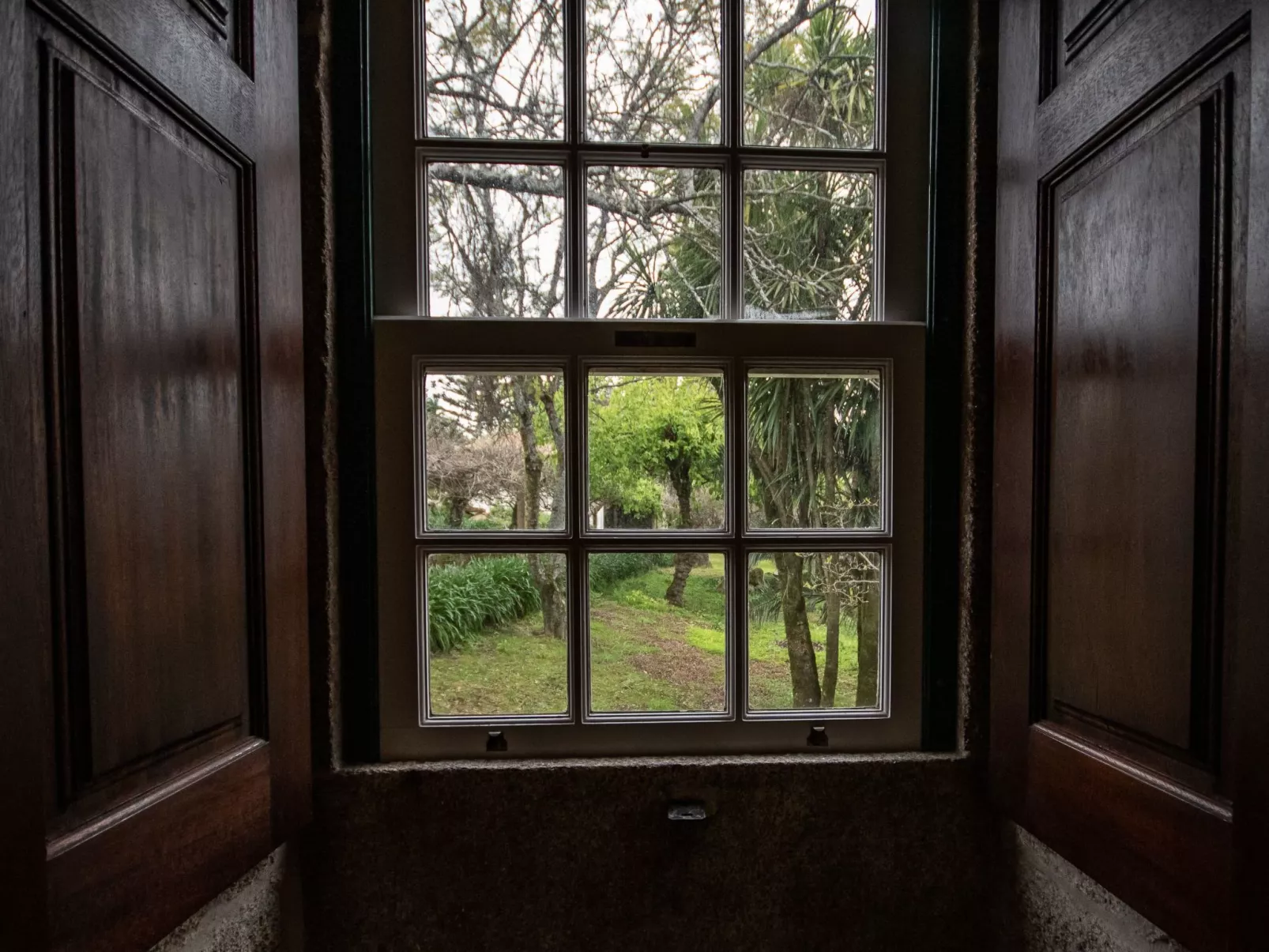 Finca "Quinta do Bento Novo"-Binnen