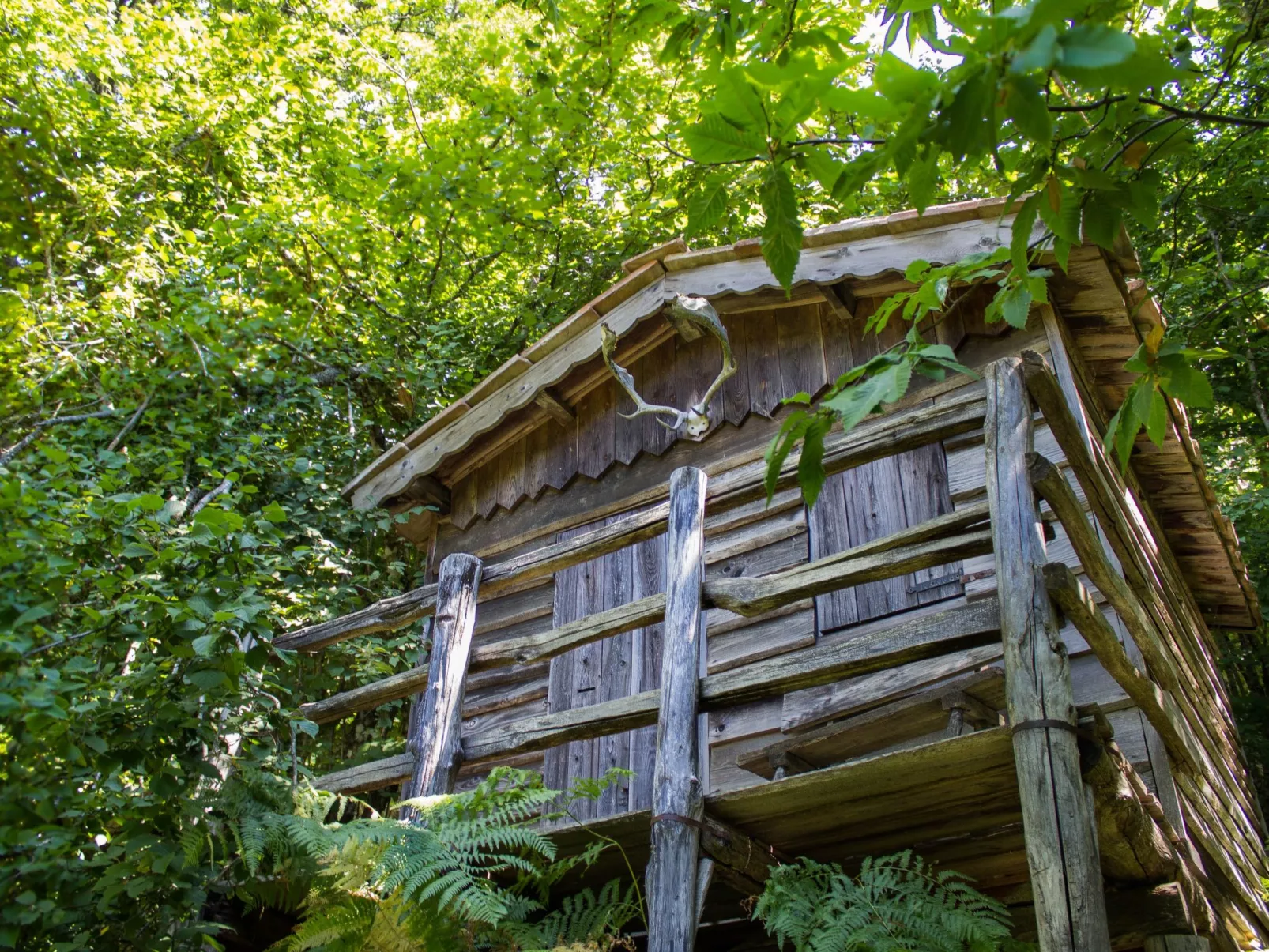 Villa Vallorsaia-Image-tags.info