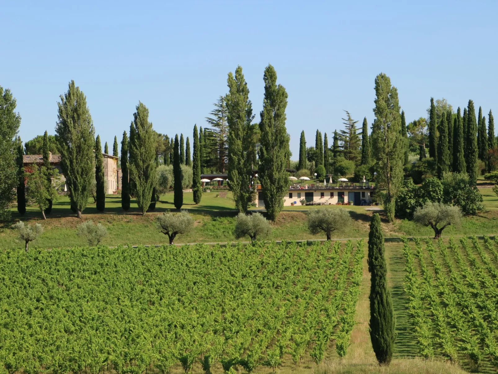 Wohnung in Sarteano mit Privatparkplatz-Buiten