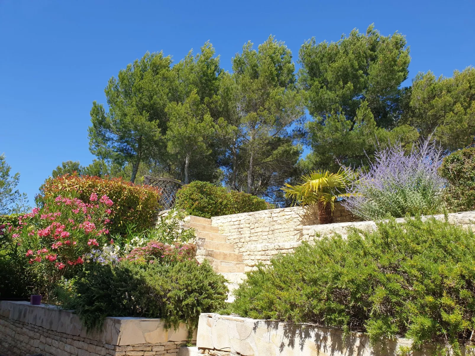 Mit Pool Infinity-Image-tags.info