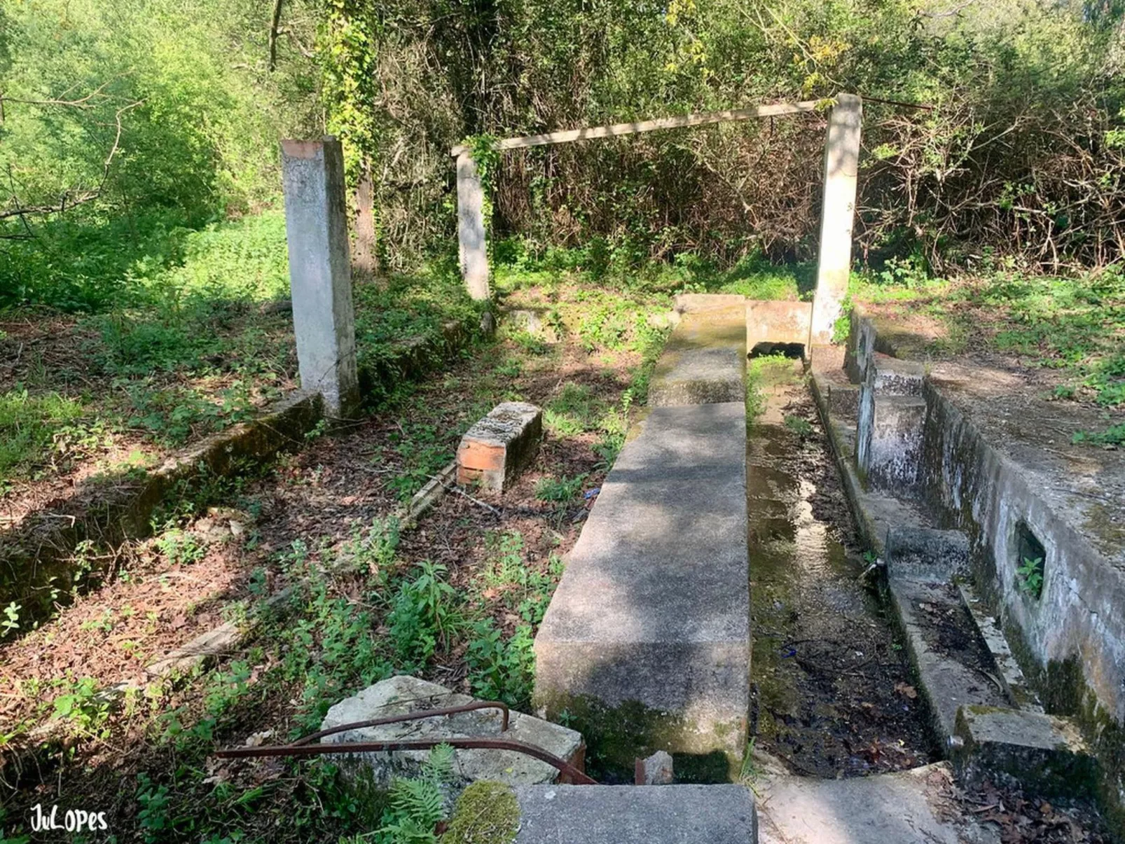 Das Haus Bairrada mit freier Garage-Buiten