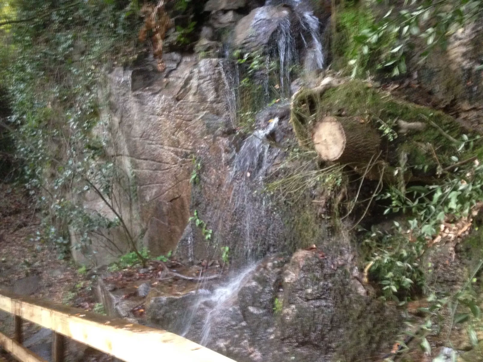 "Großvaters Häuschen" mit Kamin-Buiten