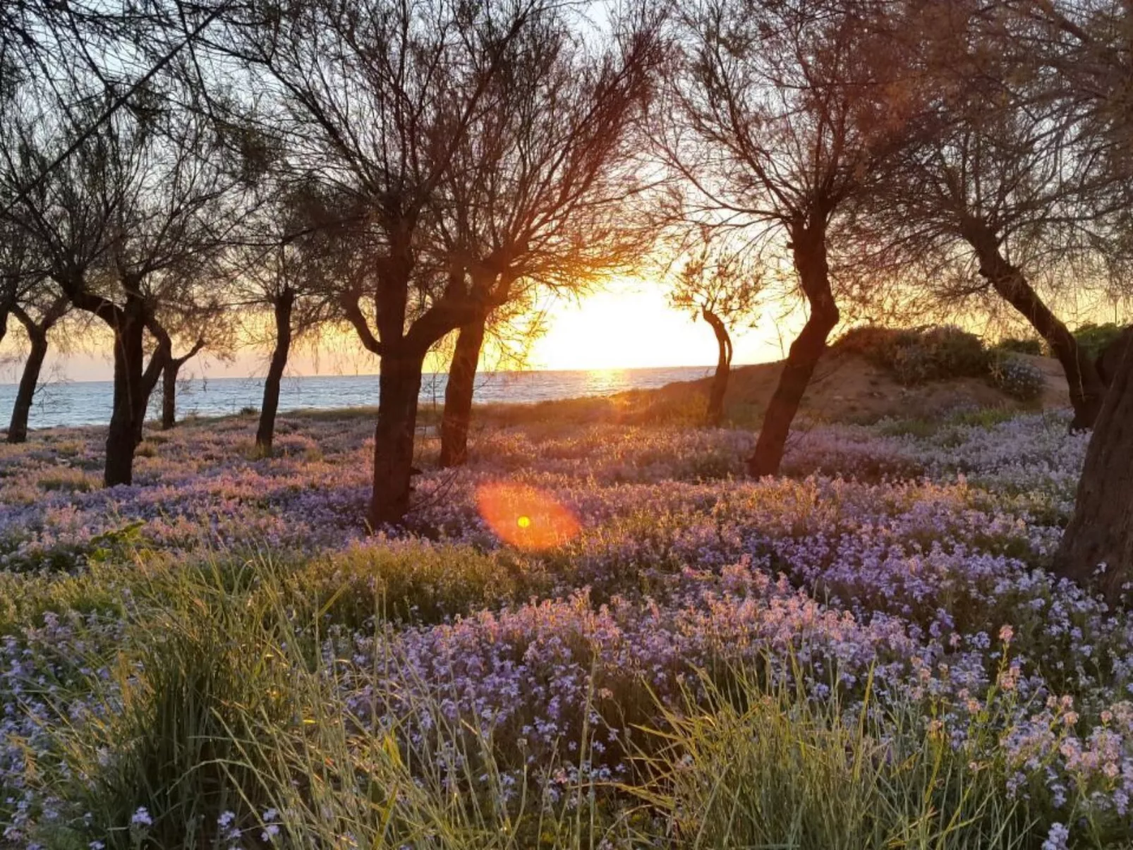 Elba Wohnung am Meer.-Buiten
