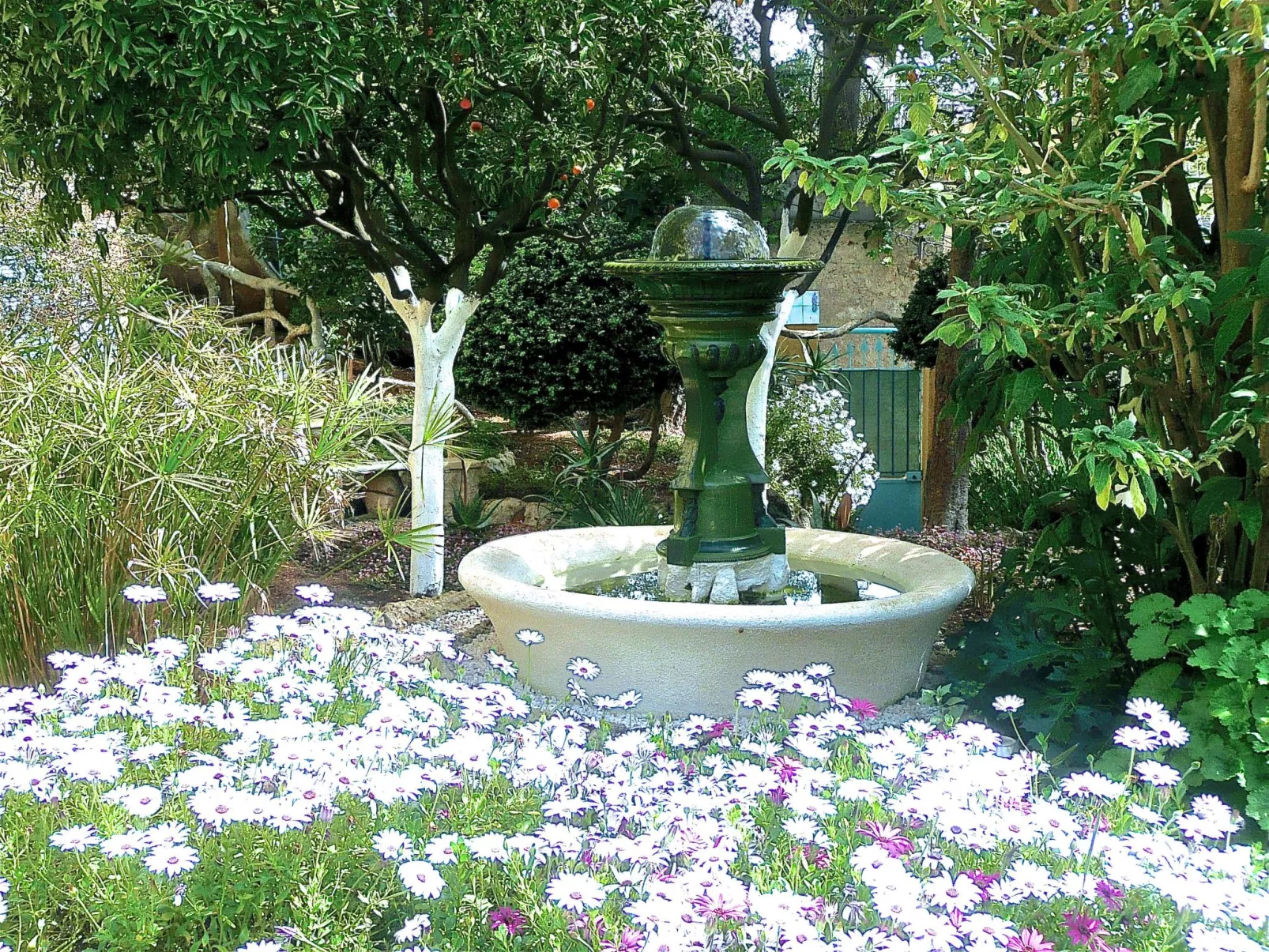 Ferienvilla "Villa Dracoena".-Buiten