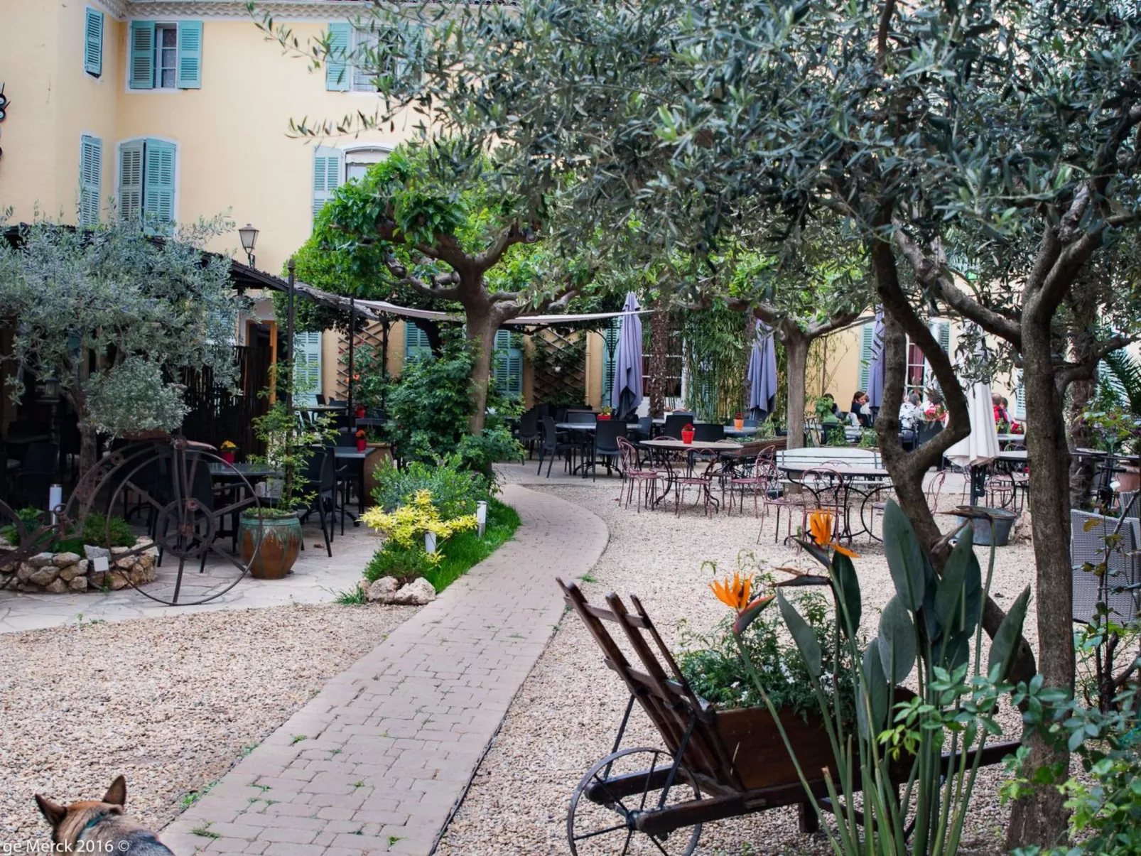 Pin parasol-Image-tags.info