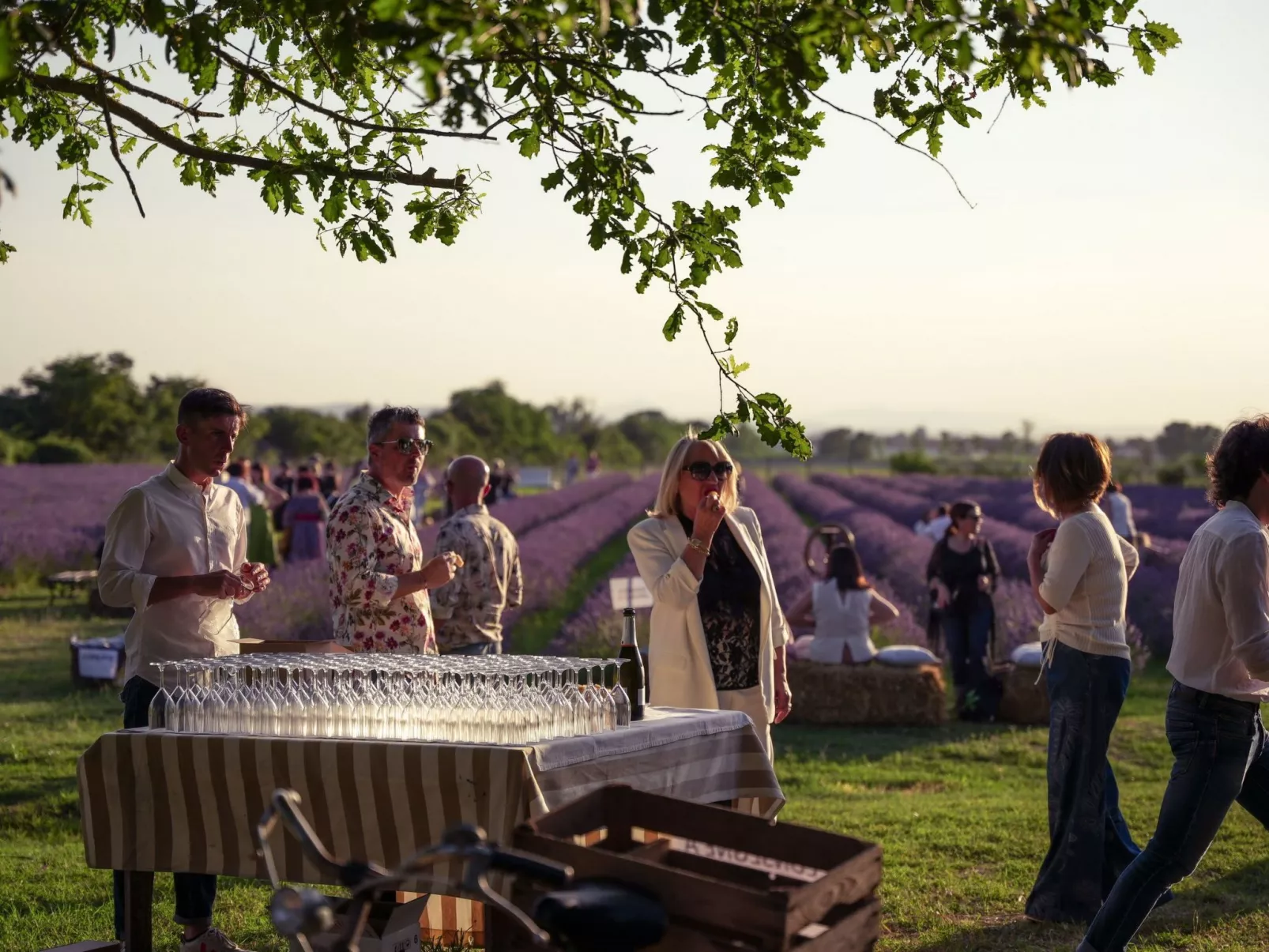 Molinello gelso' Wohnung mit Schwimmbad-Buiten