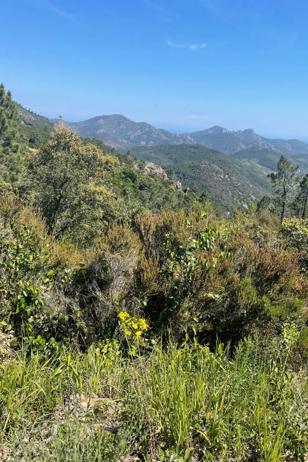 Grande Maisonette-Buiten
