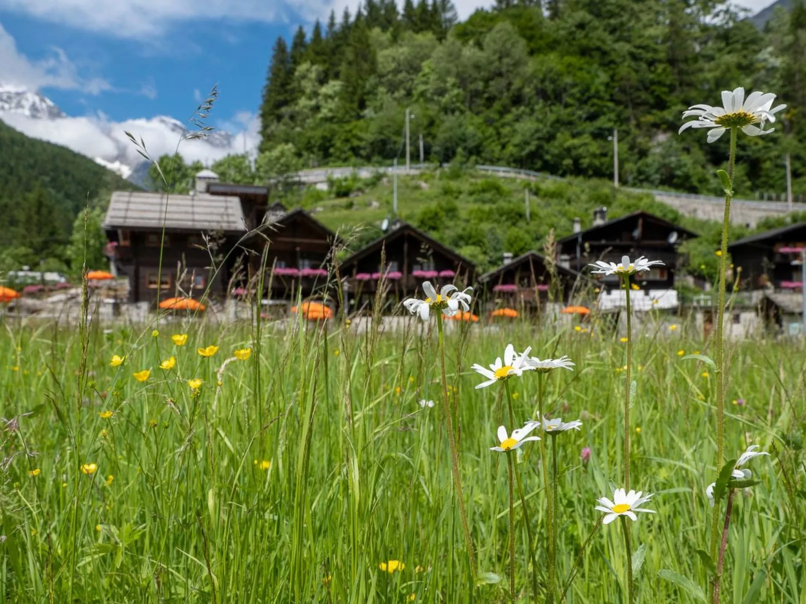 Chalet Borgo Walser Testa 9 - Buiten