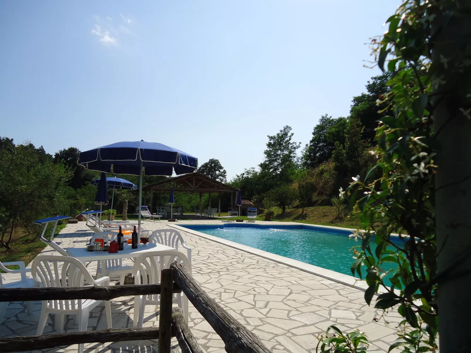 Jasmin-Image-tags.info